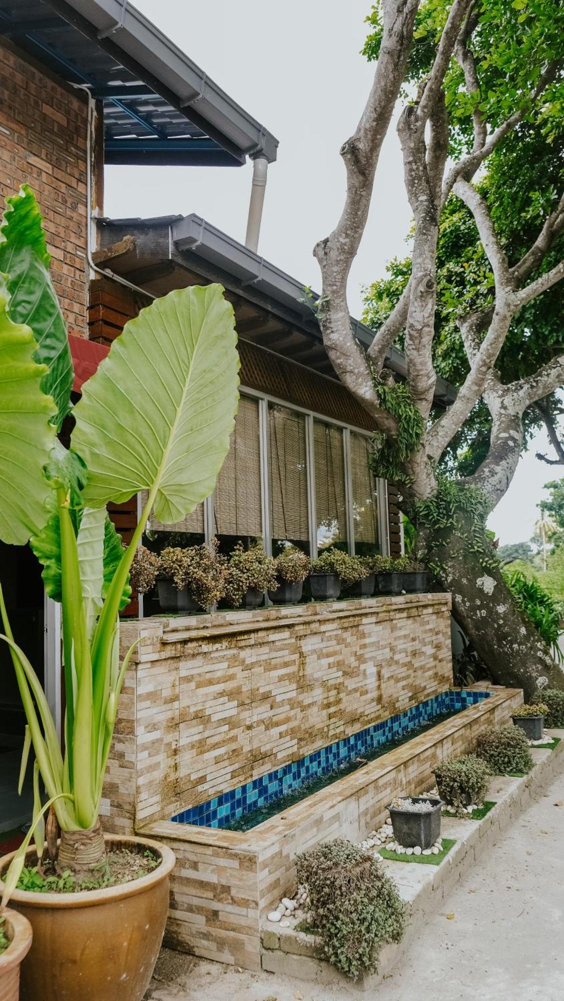 珍南海滩 德斯蒂尼雅珂芙度假村酒店 外观 照片